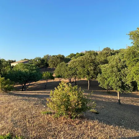 Li Paduleddi Country Olbia