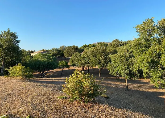 Li Paduleddi Country Olbia