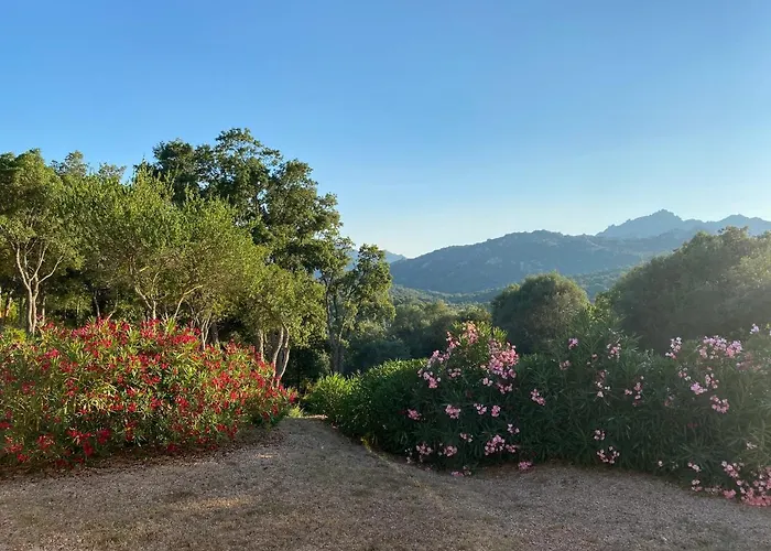 Li Paduleddi Country 3* Olbia