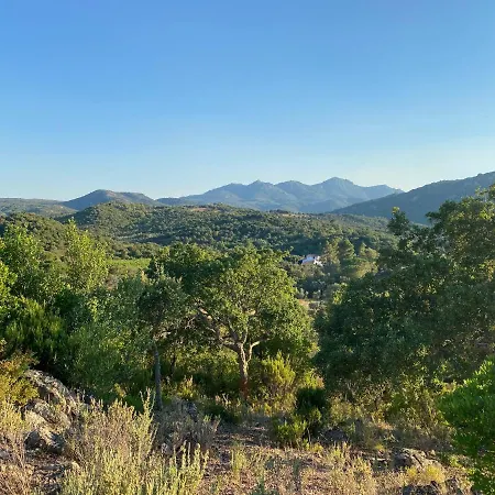 Gasthuis Li Paduleddi Country Olbia
