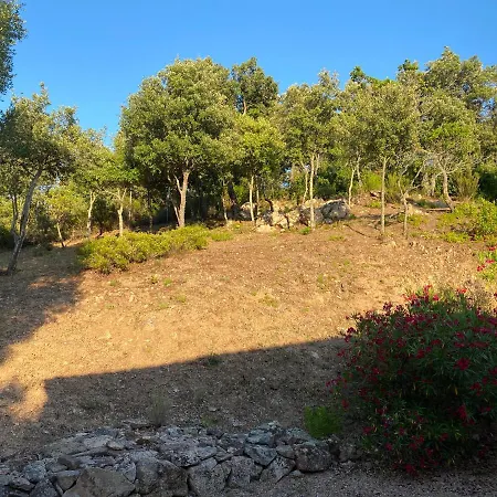 Li Paduleddi Country 3*