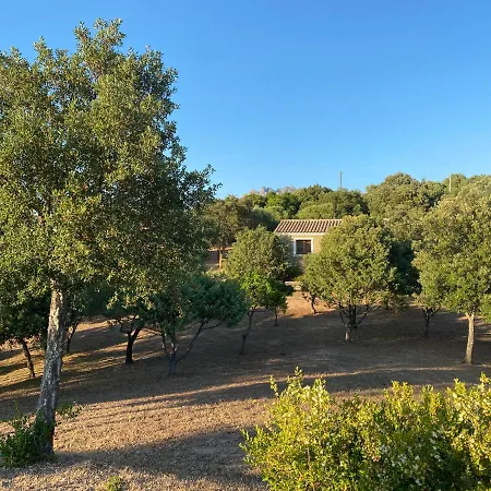 Maison d'hôtes Li Paduleddi Country 3*