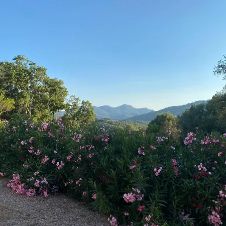 Li Paduleddi Country Affittacamere 3*