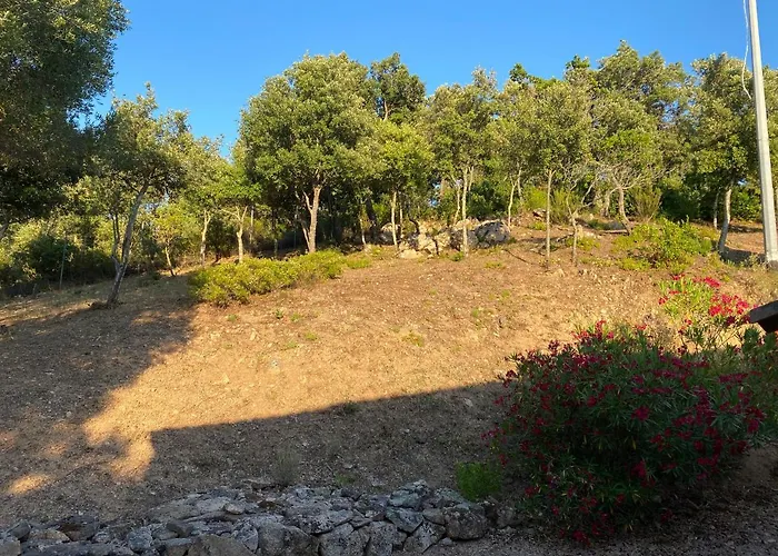 Li Paduleddi Country 3*