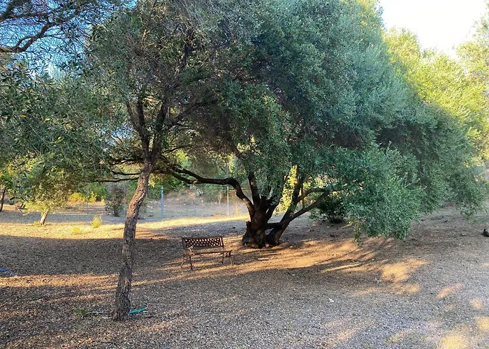 Li Paduleddi Country